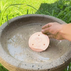 🥇PolarPosh™ 99.99% Pure Copper Bird Bath Disk — Keep Your Birdbath Clean Naturally, All Season Long! No Chemicals, No Hassle.