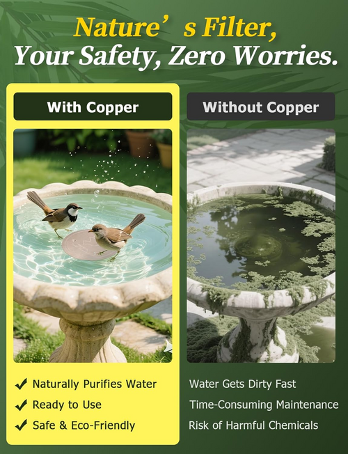 🥇PolarPosh™ 99.99% Pure Copper Bird Bath Disk — Keep Your Birdbath Clean Naturally, All Season Long! No Chemicals, No Hassle.