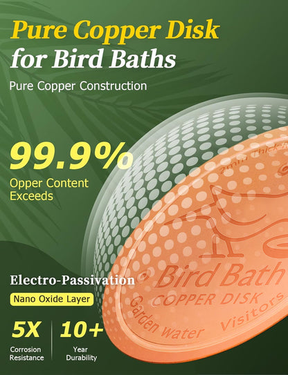 🥇PolarPosh™ 99.99% Pure Copper Bird Bath Disk — Keep Your Birdbath Clean Naturally, All Season Long! No Chemicals, No Hassle.